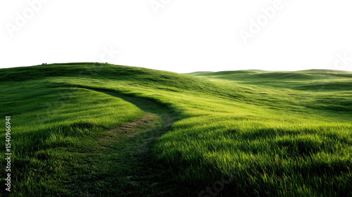 Serene pathway through lush green hills nature landscape tranquil environment scenic cut out png