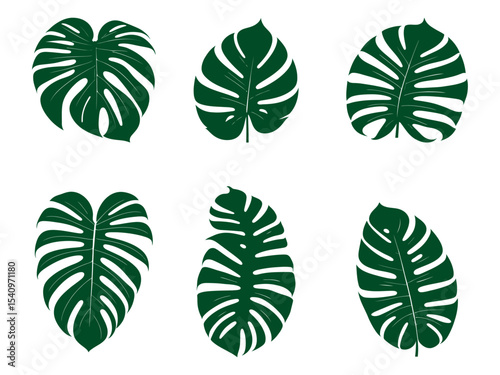 Monstera leaf vector set tropical foliage patterns for home decor botanical prints and jungle-themed branding