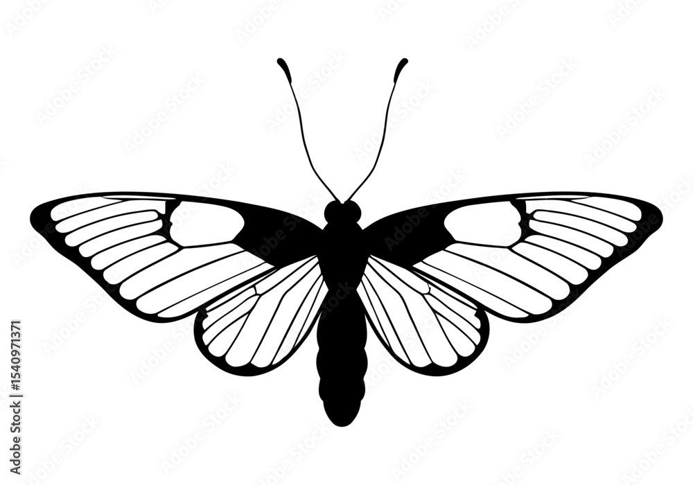 Fototapeta premium Geometric butterfly design angular patterns, garden insect silhouette graphic for embroidery pattern and vinyl decal.