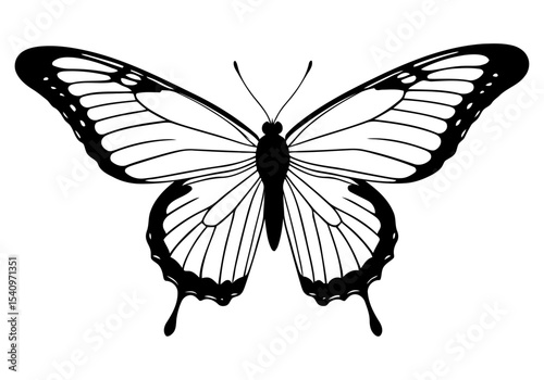 Butterfly wing close-up vector macro view detailed scales for biology education microscope imagery and scientific publications