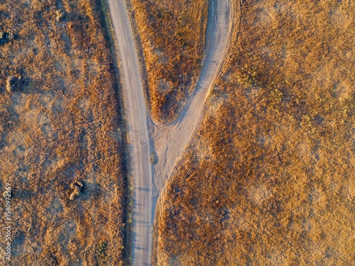 фотографія Aerial view of a rural road splitting into a fork, surrounded by dry grassland in Carrizo Plain National Monument, California, USA
