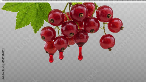 Juicy Red Currants Fresh, Ripe Berries Dripping with Sweetness