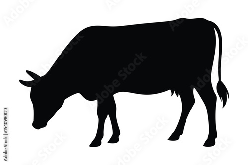 Silhouette of a cow grazing peacefully in a field vector illustration.