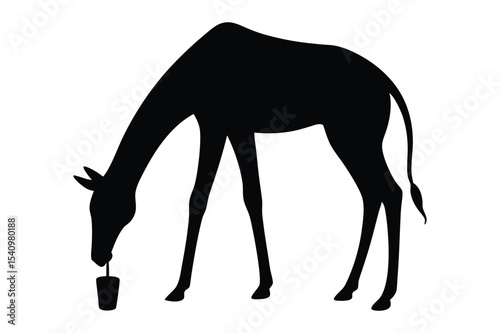 Silhouette of a giraffe bending down to drink water vector illustration.