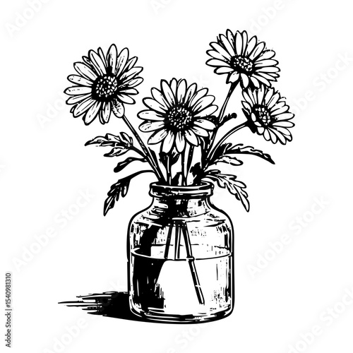 Daisy flower on jar sketch engraving black and white outline. Scratch board imitation.  illustrated in vintage line art style on a white background.