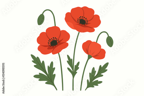 Illustration of three red poppy flowers with green stems and leaves on a white background design art