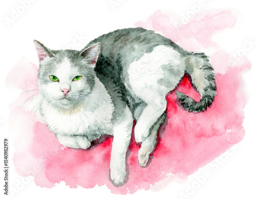 アナログ水彩で描いた白とグレーの猫