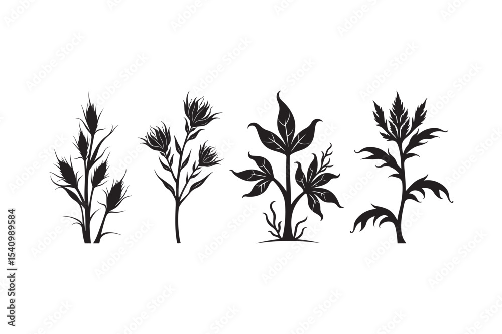 Fototapeta premium Desert Plant Silhouette Vector Collection
