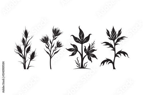 Desert Plant Silhouette Vector Collection