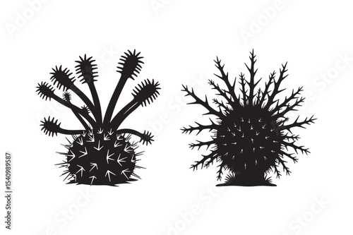 Spiky Desert Plant Silhouette Vector