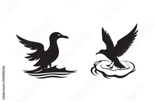 Seagull Bird Silhouette Vector Designs