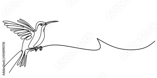 Tranquil Hummingbird Moment, Minimalist art featuring a perched hummingbird in elegant lines