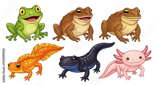 Illustration of assorted amphibians including frogs toads and newts