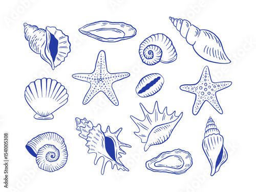 Hand drawn seashell and starfish vector illustration. Doodle sea life shell icon set.