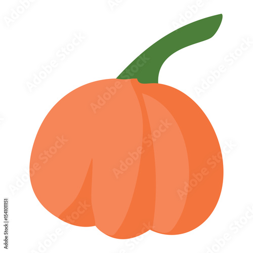 Stylized orange pumpkin icon. Vector