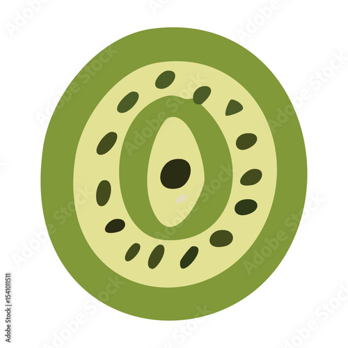 Kiwi fruit cross section. Vector