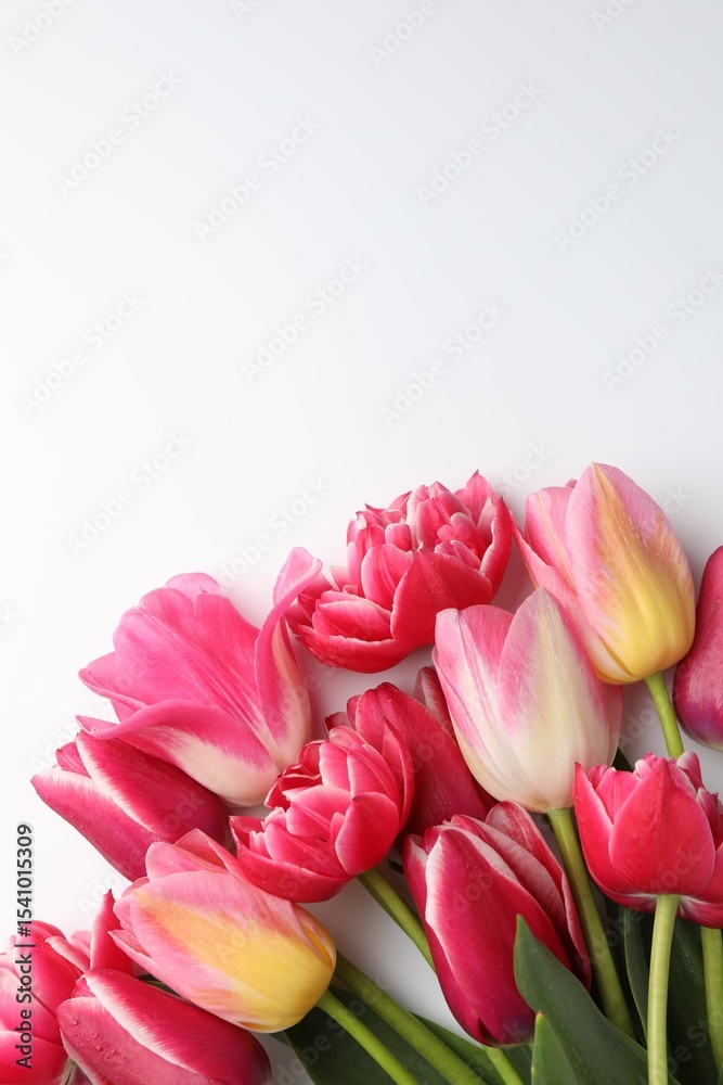 Obraz premium Beautiful tulips on white background, flat lay. Space for text
