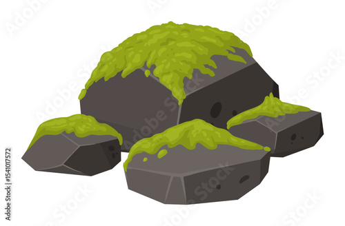 Rock cover with moss. Creeping moss on stone, moss lichen plants grows on grey rock flat vector illustration. Cartoon green moss grows on stone