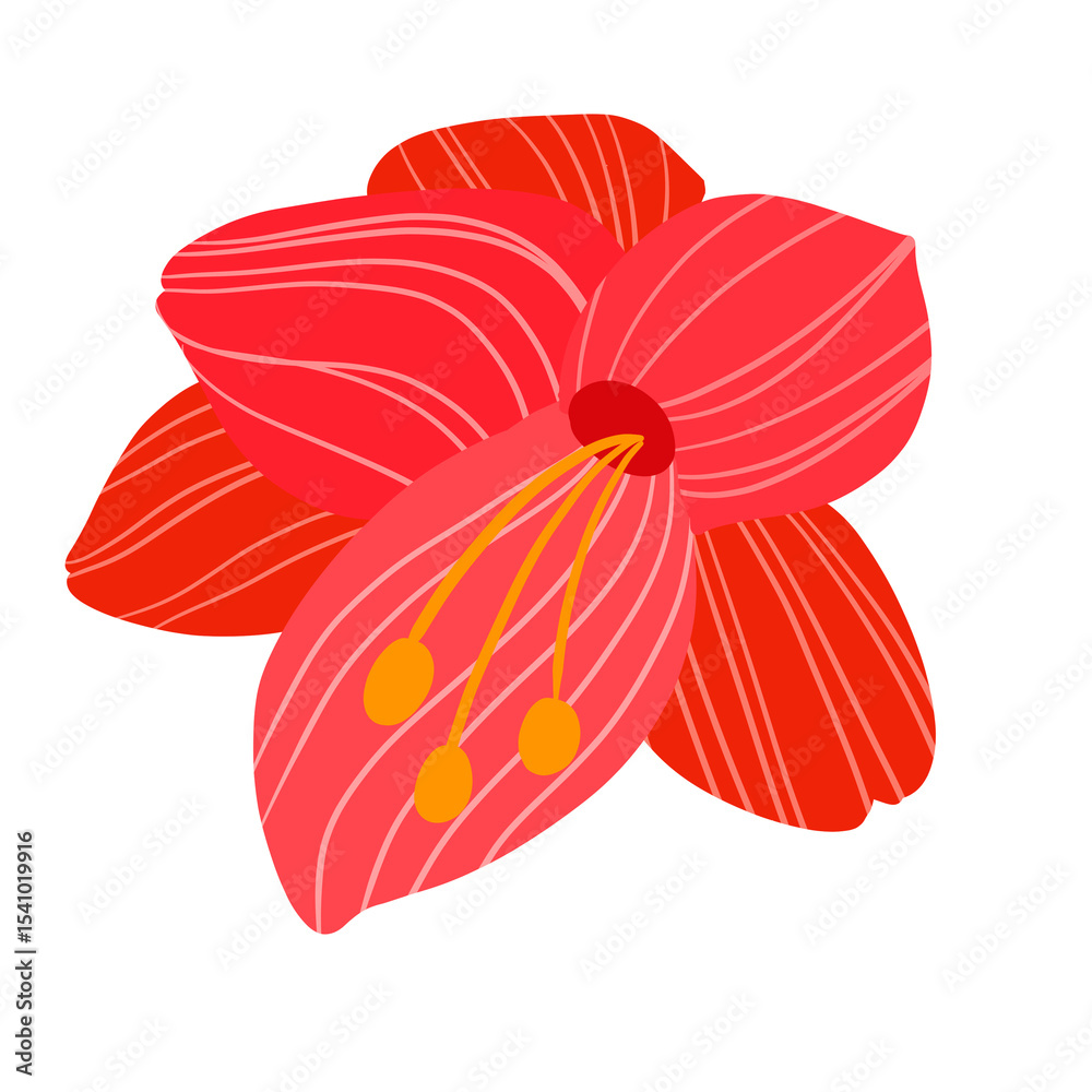 Obraz premium Red Flower Isolated on White Illustration 