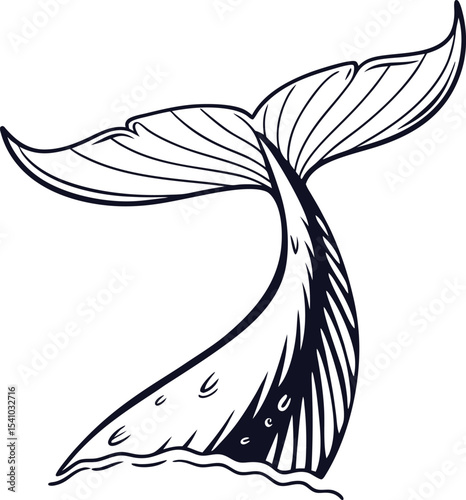 Elegant Whale Tail Line Art Design Capturing Ocean Majesty in Minimalist Style