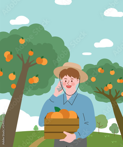Farmer harvesting oranges in an orchard