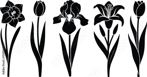 Black and white floral arrangement featuring various flower species