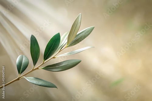 Serene Olive Branch with Soft Light Rays Illuminating Lush Green Leaves Against a Neutral Background