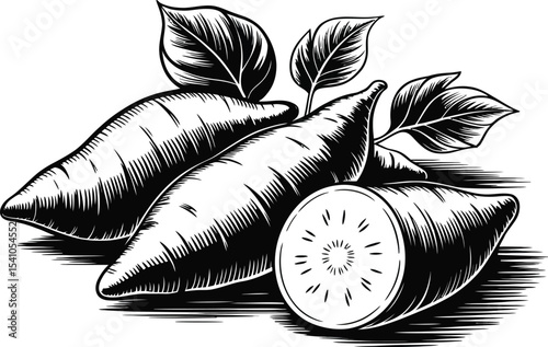 Illustration of sweet potatoes with leaves and a cut sweet potato