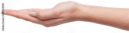 Close up of a woman's open palm offering or receiving something on white background