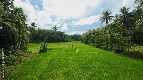 Scenic valley of rice fields and jungle hills in Bohol island Philippines