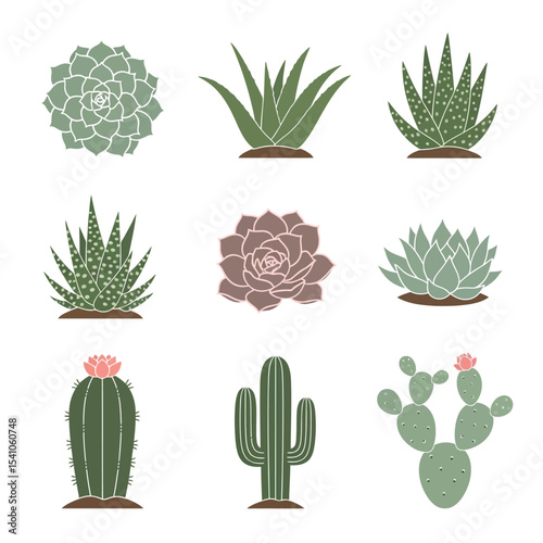 Set of Diverse Succulent and Cactus Plants Vector Icons