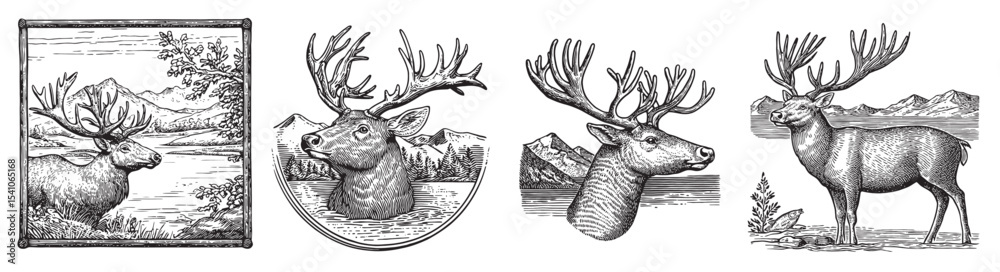 Naklejka premium This vintage-style artwork features a series of detailed deer illustrations, capturing the essence of wildlife in serene natural landscapes, perfect for nature enthusiasts., set vector illustration