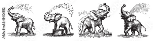 A vintage black and white illustration showing four playful elephants spraying water with their trunks. Ideal for children's themes, nature projects, or whimsical decor., set vector illustration