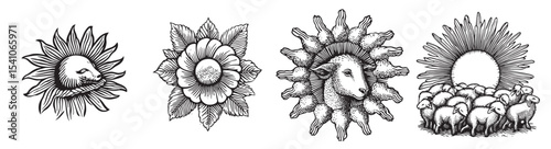 A collection of intricate black and white illustrations featuring floral designs and sheep. Perfect for artistic projects or nature-themed designs., set vector illustration
