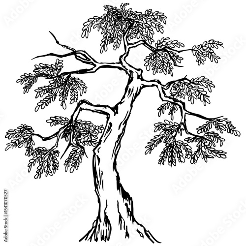Artistic Tree Drawing in Vintage Chinese Ink Style – Monochrome Botanical Vector with Elegant Line Art Details for Print Design, Holistic Branding, Stationery and Digital Decor