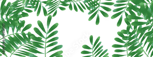 Tropical frame with green palm leaves. Tropical plant branches isolated on transparent background. Summer banner template with border of coconut palm foliage, vector dynamic illustration