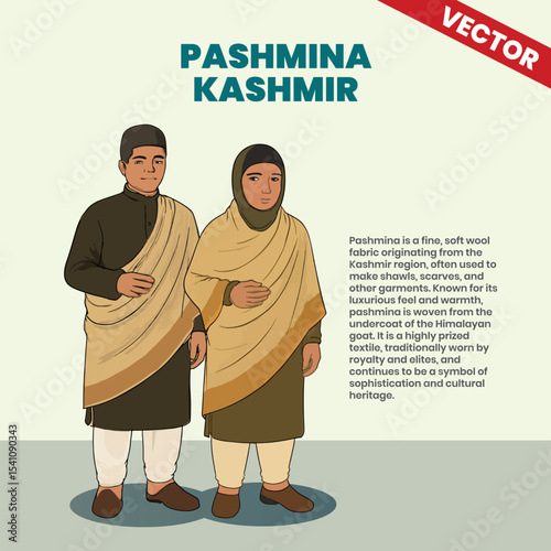 Pashmina from Kashmir Cultural Shawl and Textile