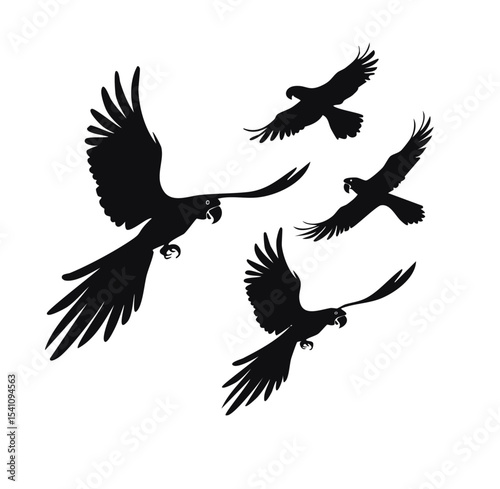 Flying Birds Silhouette Vector Illustration – Black and White Bird Silhouettes in Flight for Nature and Wildlife Design