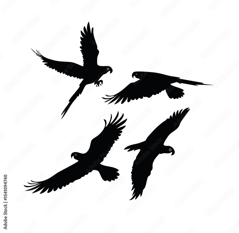 Fototapeta premium Flying Birds Silhouette Vector Illustration – Black and White Bird Silhouettes in Flight for Nature and Wildlife Design