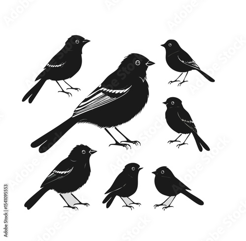 Flying Birds Silhouette Vector Illustration – Black and White Bird Silhouettes in Flight for Nature and Wildlife Design