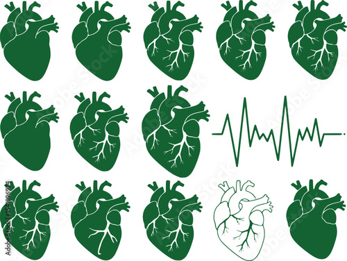 Green Heart Illustrations Depicting Anatomy and EKG Heartbeat Vital Sign Medical Imagery for Healthcare Education and Cardiology Related Designs