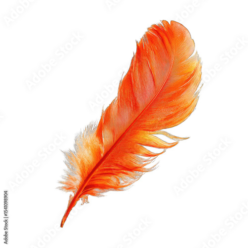 Vibrant orange feather against black