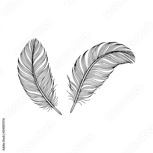 Minimalist Feather Line Art Silhouette