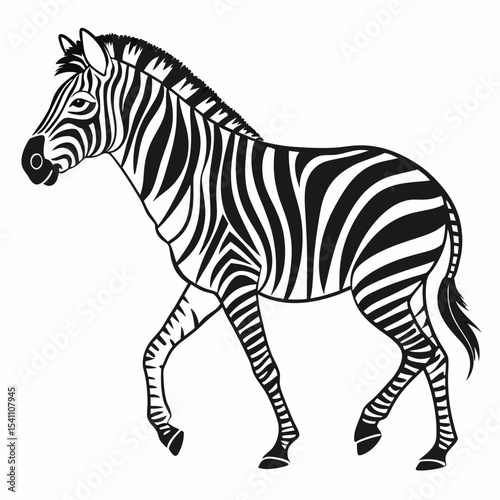 black zibra, isolated on white background perfect outline