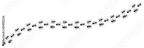 Row of ants trail line isolated on white background. Ants trail line. Running ants