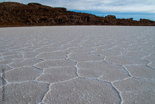 Pescado Island, Salt Flats of Bolivia