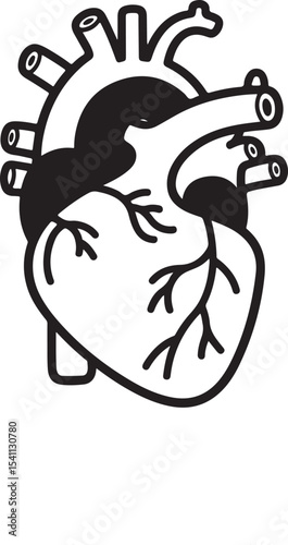 Anatomical Heart Illustration Detailed Line Art of the Human Heart