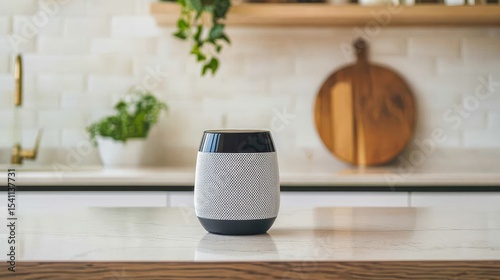 Modern wireless speaker on kitchen countertop with greenery in background for stylish home audio setup