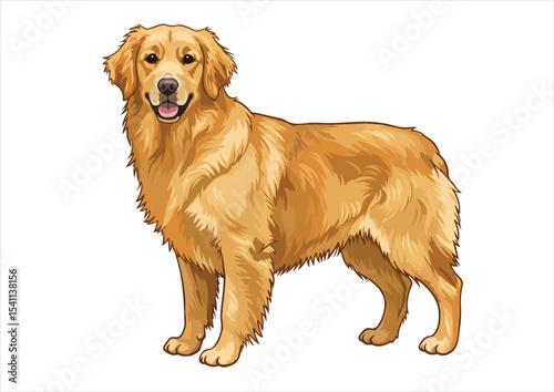 animal, vector, cute, illustration, dog, isolated, design, pet, cartoon, art, golden retriever, breed, retriever, icon, drawing, funny, graphic, canine, puppy, black, doggy, labrador, head, golden,