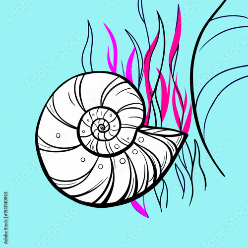 Nautilus Shell Drawing, Ocean Life Illustration, Seashell Art